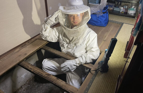 ハチ被害から佐賀のお住まいを守るハチ退治業者 | 福岡でハチ駆除をするなら株式会社LEAP